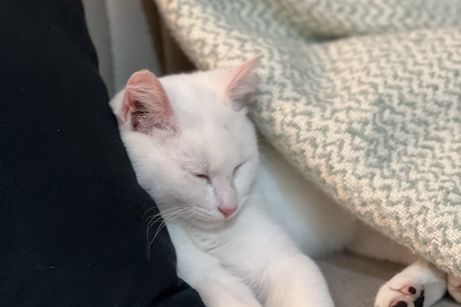 Casper 3