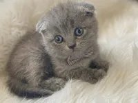 Bal küpü bu minnoşlar teslime hazır