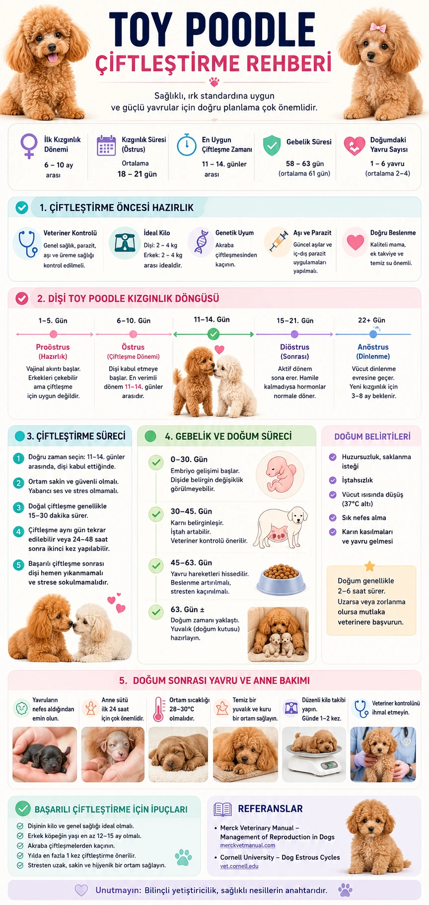 Toy Poodle Çiftleştirme Rehberi