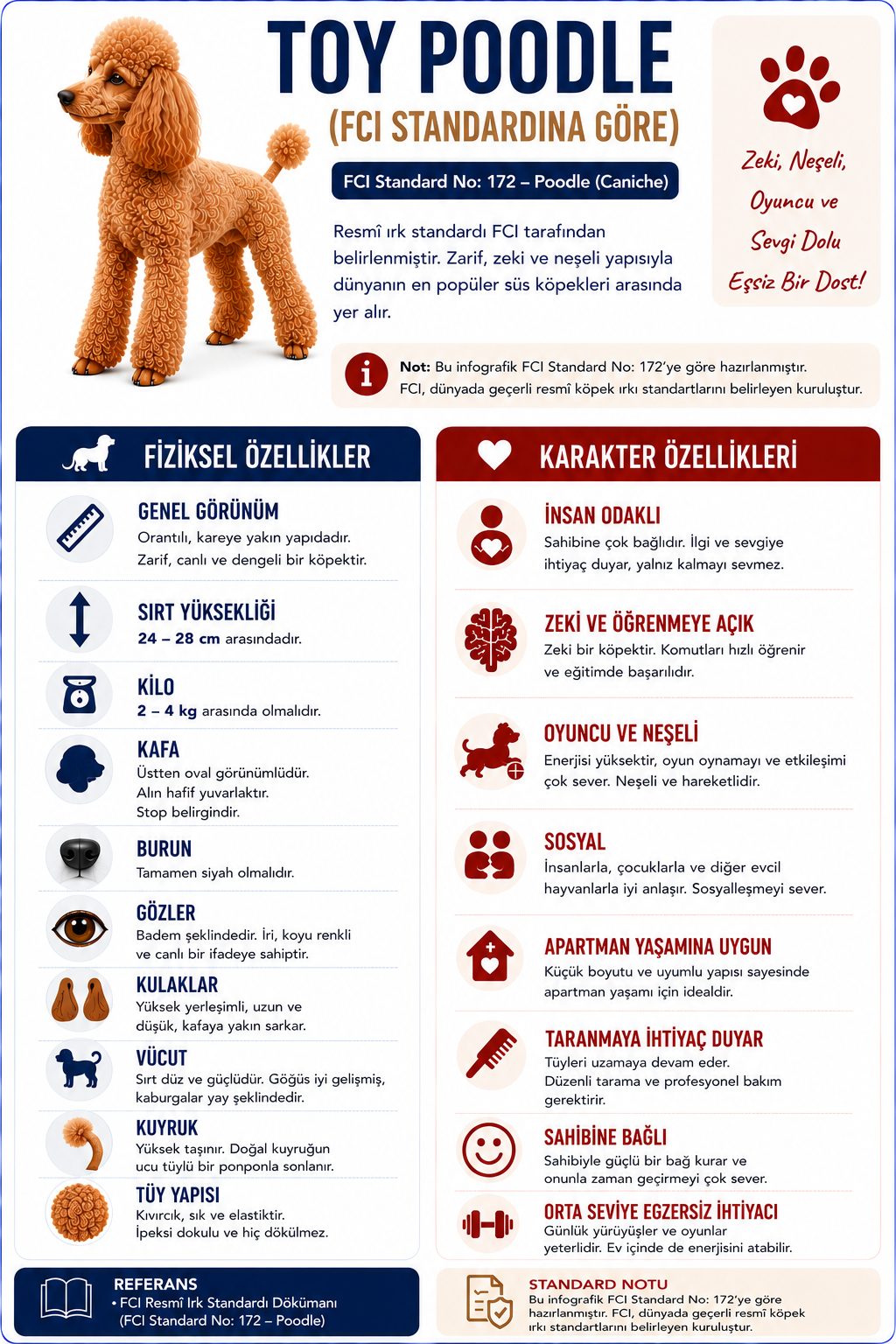 Toy Poodle Fci İnfografik